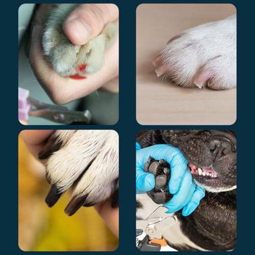 Professional Electric Pet Nails Grinder - Image 4