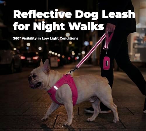 Best Pet Supplies Voyager Nylon Dog Leash - 6ft Fuchsia - Image 4