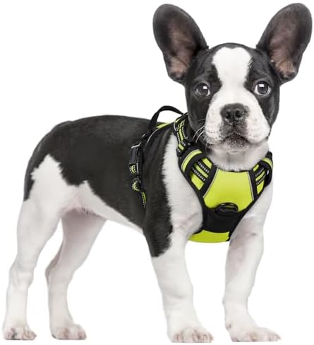 rabbitgoo Dog Harness, No Pull for Small Dogs by rabbitgoo