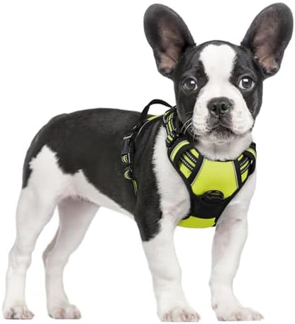 rabbitgoo Dog Harness, No Pull for Small Dogs by rabbitgoo