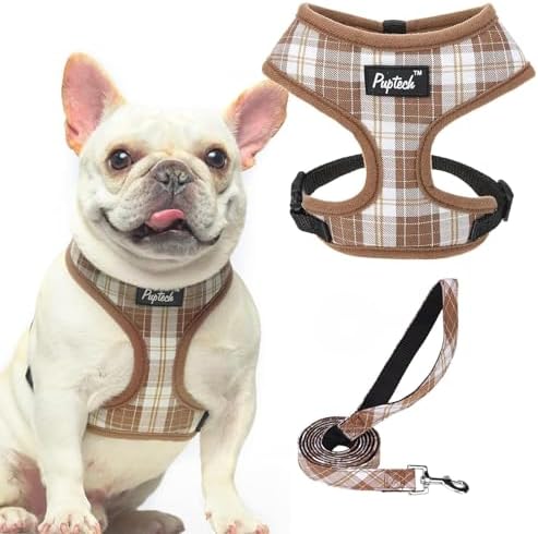 PUPTECK Small Dog Harness and Leash Set No Pull by PUPTECK