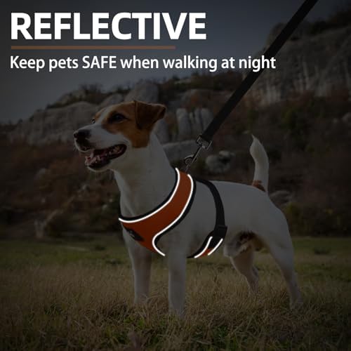 PUPTECK Small Dog Harness and Leash Set No Pull - Image 6