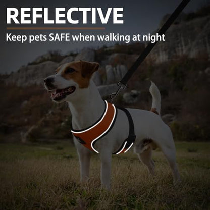 PUPTECK Small Dog Harness and Leash Set No Pull - Image 6