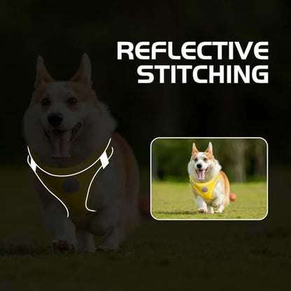 Soft Mesh Dog Harness and Leash Set, No Pull Puppy Harness and Leash Set - Image 6
