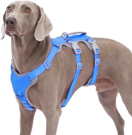 Huntboo Escape Proof Dog Harness, No Pull Reflective Harness by Huntboo