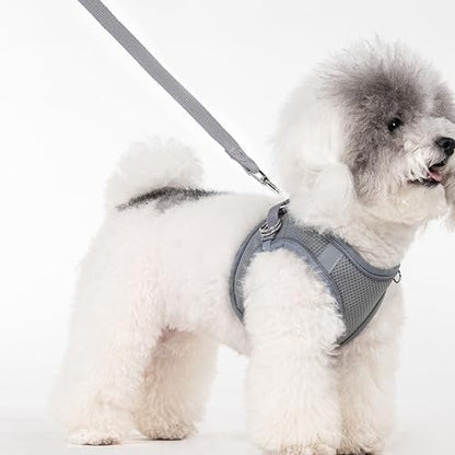 Dog Harness for Small Medium Sized Dog, Puppy Harness and Leash Set Training - Image 2