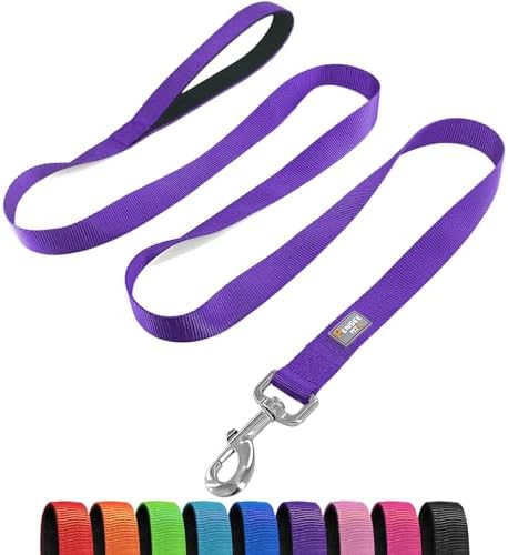 6 FT Reflective Dog Leash for Small Dogs by Penseepet
