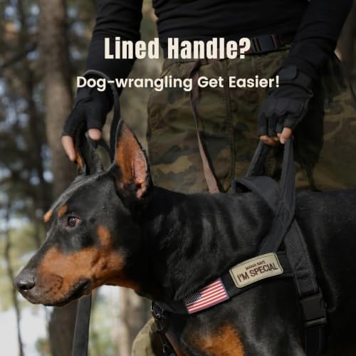 Forestpaw No Pull Dog Harness - Image 2