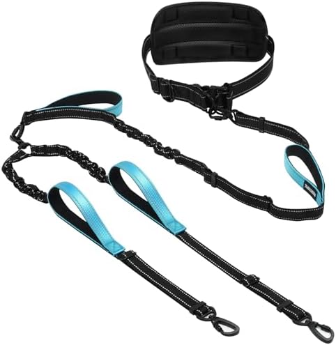 Hands Free Leash for 2 Large Dogs, No Tangle Waist Walking Bungee Leash by PawistaPal