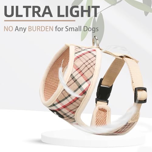 PUPTECK Small Dog Harness and Leash Set No Pull - Image 5