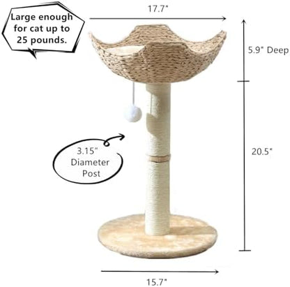 SHENGOCASE Small Cat Tree Tower - Image 6