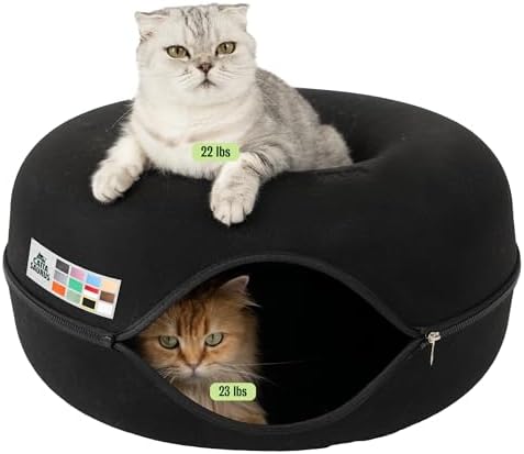 Cattasaurus Peekaboo Cat Cave Donut by Cattasaurus