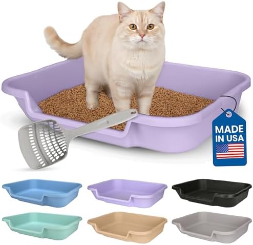 KittyGoHere Senior Cat Litter Box, Large by NE14pets