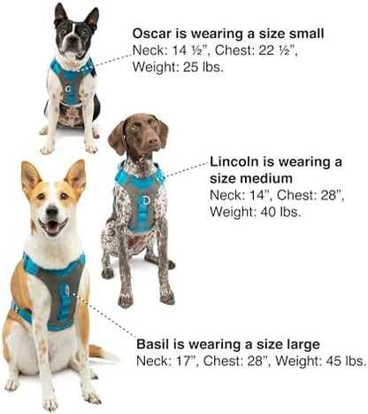 Kurgo Journey Air Dog Harness - Image 6