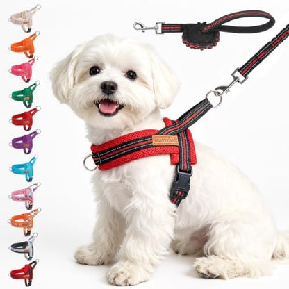 BEAUTYZOO Small Dog Harness and Leash Set, No Pull Step in Puppy Vest by BEAUTYZOO