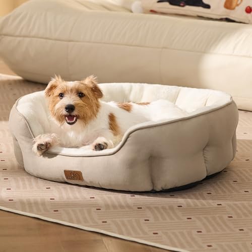 Bedsure Medium Dog Bed Washable, Large Cat Beds - Image 5