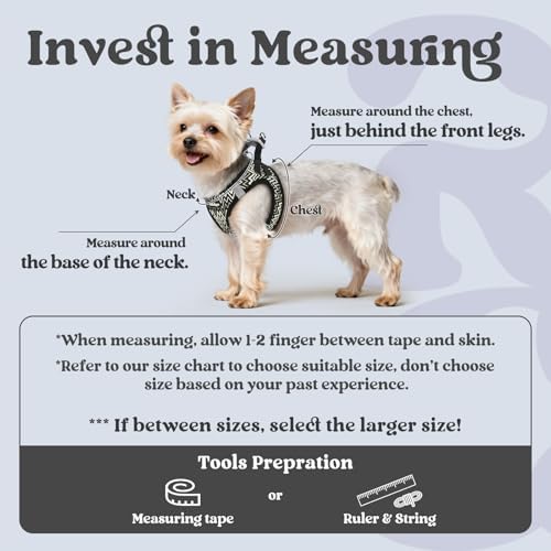 rabbitgoo Step-in Small Dog Harness, Puppy Vest - Image 2