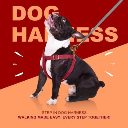 Didog Step in Dog Harnes for Small Dogs, Chest 14-22" - Image 5