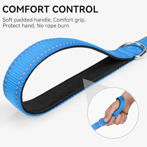 Joytale Reflective Dog Leash for Small Dogs, 4 FT x 3/4", Sky Blue - Image 3