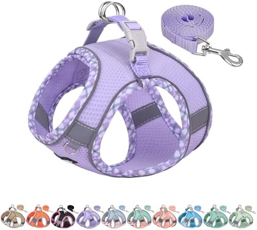 AIITLE Medium Dog Harness and Leash Set by AIITLE-FORPETSBETTERLIFE