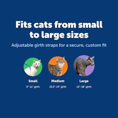 PetSafe Come with Me Kitty Harness and Bungee Cat Leash, Dusty Rose - Image 6