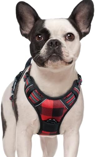 rabbitgoo Dog Harness, No Pull for Small Dogs by rabbitgoo