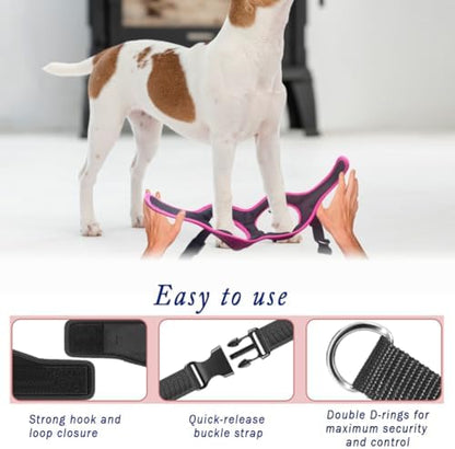 Comfort fit Step-in Dog & Puppy Harness - Image 6