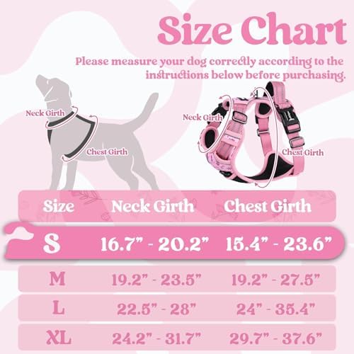 rabbitgoo Dog Harness Small Sized, Updated Easy On & Off - Image 2