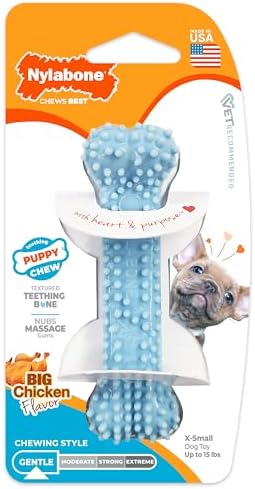 Nylabone Puppy Chew Blue Textured Teething Dog Bone by Nylabone