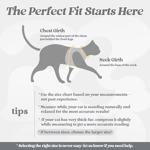 rabbitgoo Cat Harness and Leash Set, Step-in Soft Vest - Image 2