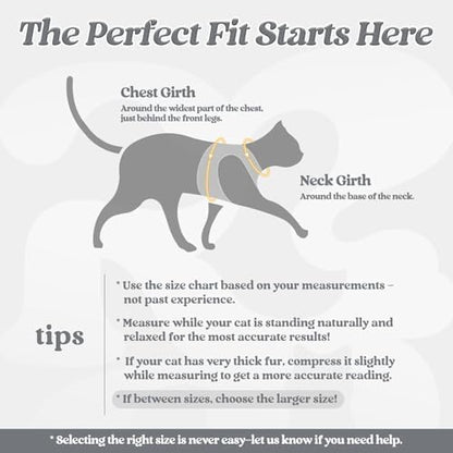 rabbitgoo Cat Harness and Leash Set, Step-in Soft Vest - Image 2