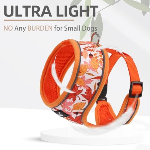 PUPTECK Fall Dog Harness and Leash Set No Pull Small Sized Dogs Puppy - Image 5