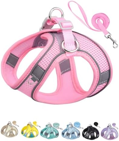 Solmoony Dog Harness for Small Medium Dogs No Pull, Puppy Harness and Leash Set by SOLMOONY