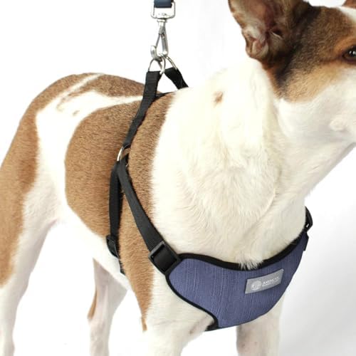 AKC Striped Step-in Dog Harness – No Pull Adjustable Vest - Image 4