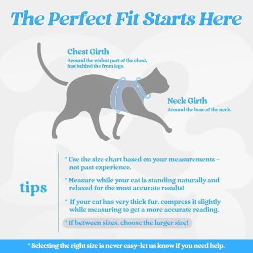 rabbitgoo Cat Harness and Leash Set, Step-in Soft Vest, Light Blue - Image 2
