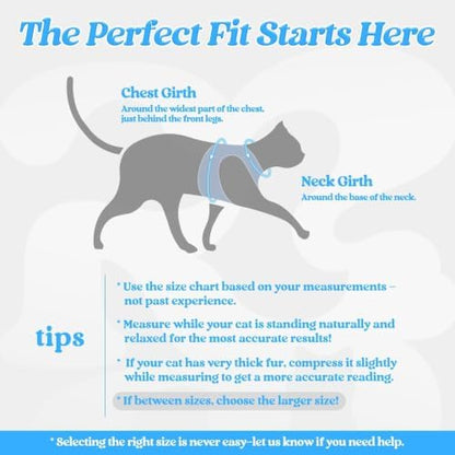rabbitgoo Cat Harness and Leash Set, Step-in Soft Vest, Light Blue - Image 2