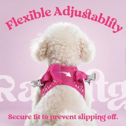 rabbitgoo Dog Harness Small Sized and Leash Set, Step in Soft Vest - Image 6