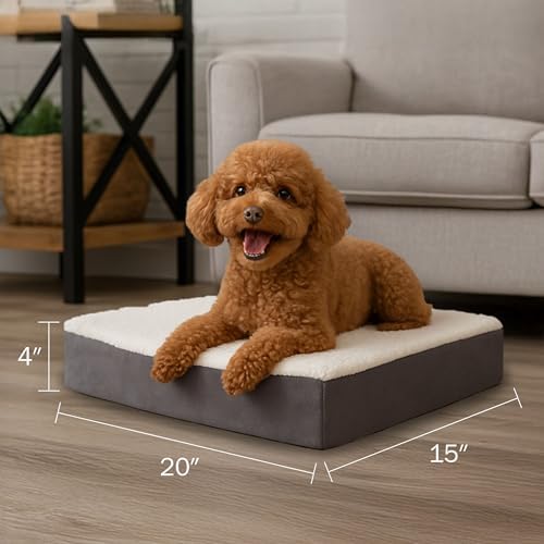 Orthopedic Dog Bed - Image 2