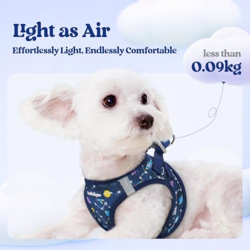 rabbitgoo Dog Harness Medium Sized and Leash Set, Step-in Puppy Pet Vest - Image 3