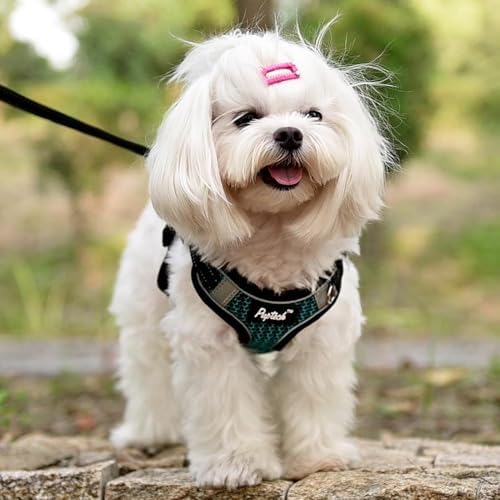 PUPTECK Dog Harness and Leash Set Small Sized, Step in No Pull Adjustable Puppy - Image 5