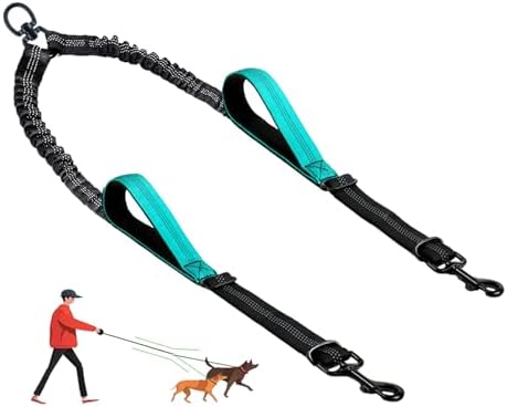 Double Dog Leash by LEOSASA