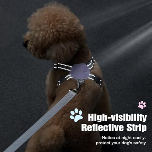 Pawaboo Small Dog Harness and Leash Set, Puppy Harness X-Frame Adjustable - Image 7