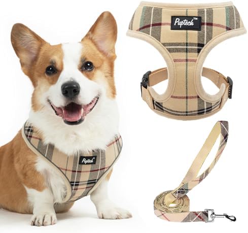 PUPTECK Small Dog Harness and Leash Set No Pull by PUPTECK