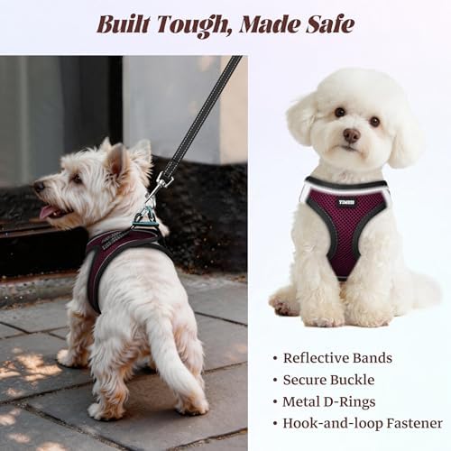 No Pull Dog Puppy Harness and Leash Set Reflective Mesh Vest Large - Image 5