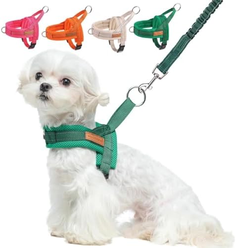 BEAUTYZOO Small Dog Harness and Leash Set, No Pull Step in Puppy Vest by BEAUTYZOO
