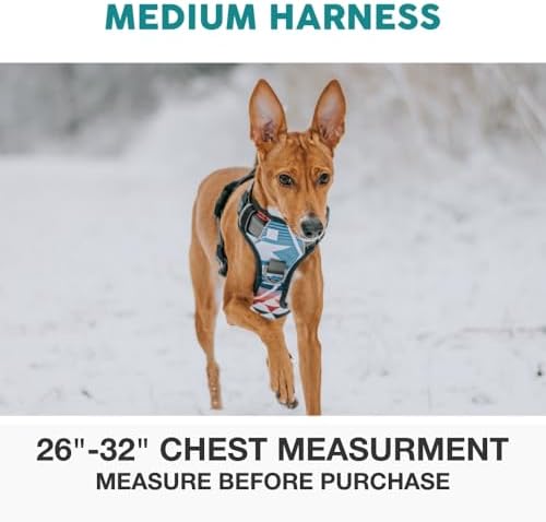 Embark No Pull Dog Harness, Reflective Adjustable Training Vest, No Choke - Image 2