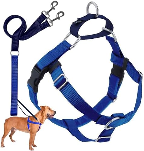 2 Hounds Design Freedom No Pull Dog Harness and Leash, Royal Blue by 2HoundsDesign