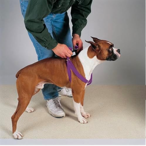 Dog Harness Easy to Use 2 Step Secure Safe Comfortable Firm No Struggle Pull by Unknown