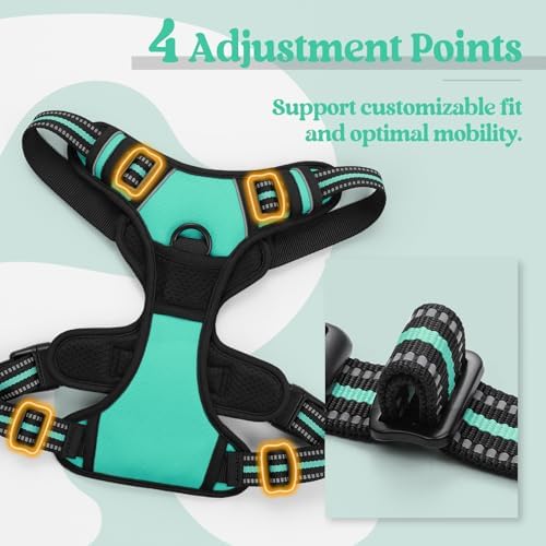 rabbitgoo Dog Harness, No Pull for Large Dogs - Image 4
