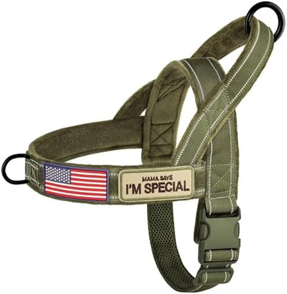 Forestpaw No Pull Dog Harness by Forestpaw